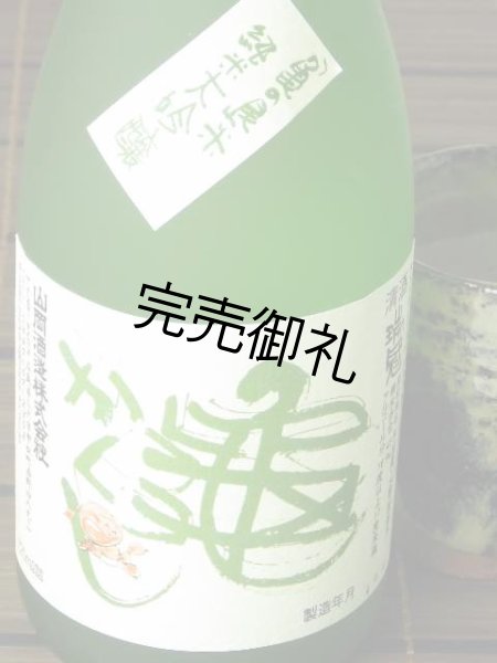画像1: 山岡酒造　瑞冠　純米大吟醸　亀かくし720ml (1)